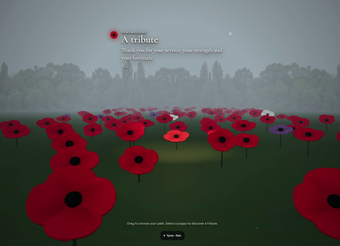 A view into Beacon’s interactive digital field of poppies.